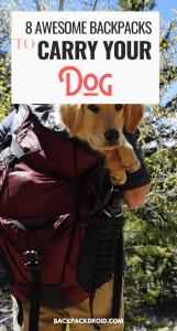 Best Dog Carrier Backpacks