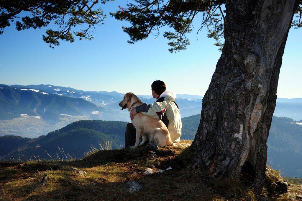 Hiking with Dogs